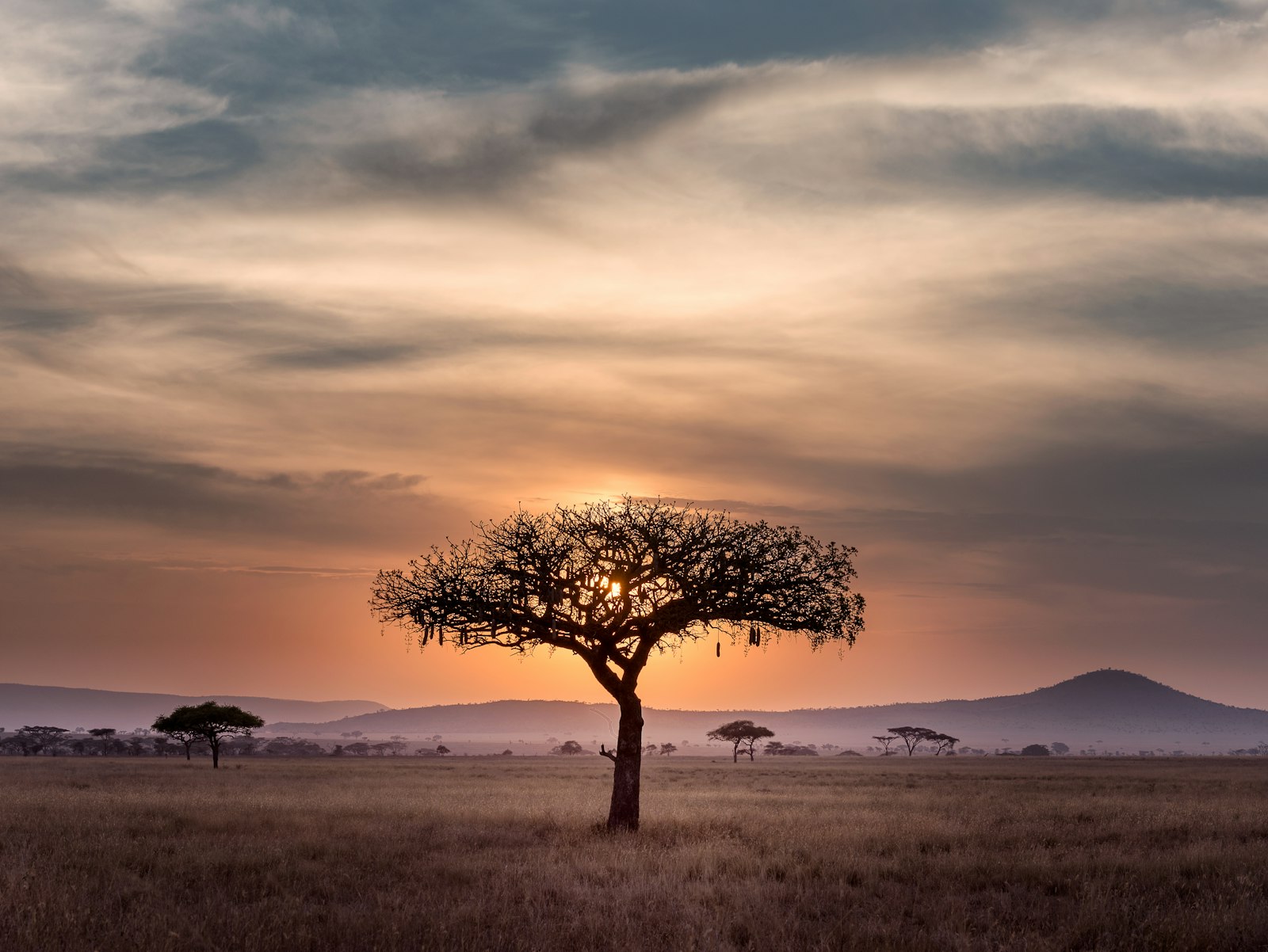 Madagascar
